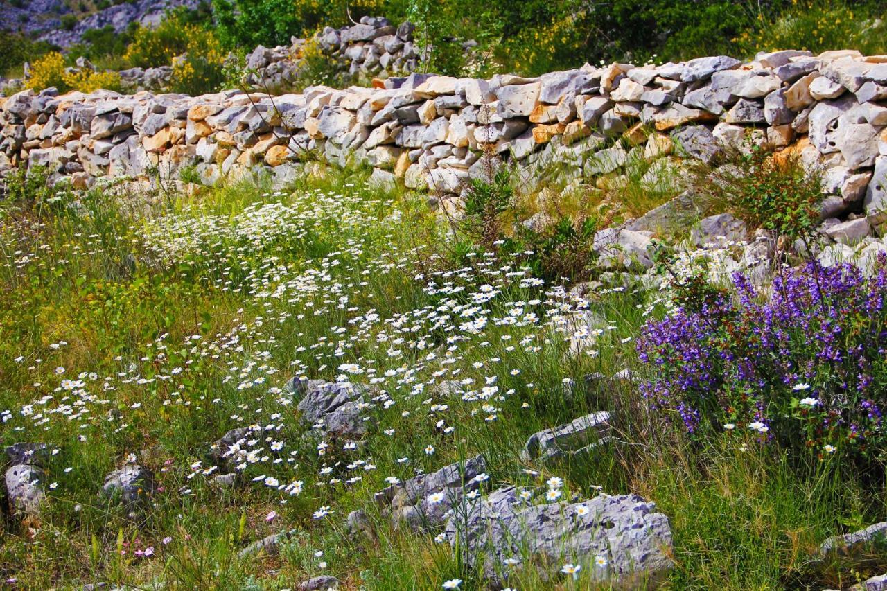 Villa Zlatno Sunce In The Hills Near Trogir Vrsine Kültér fotó