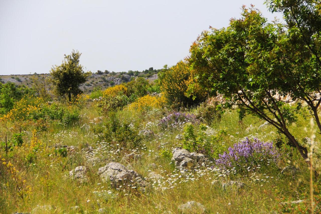 Villa Zlatno Sunce In The Hills Near Trogir Vrsine Kültér fotó