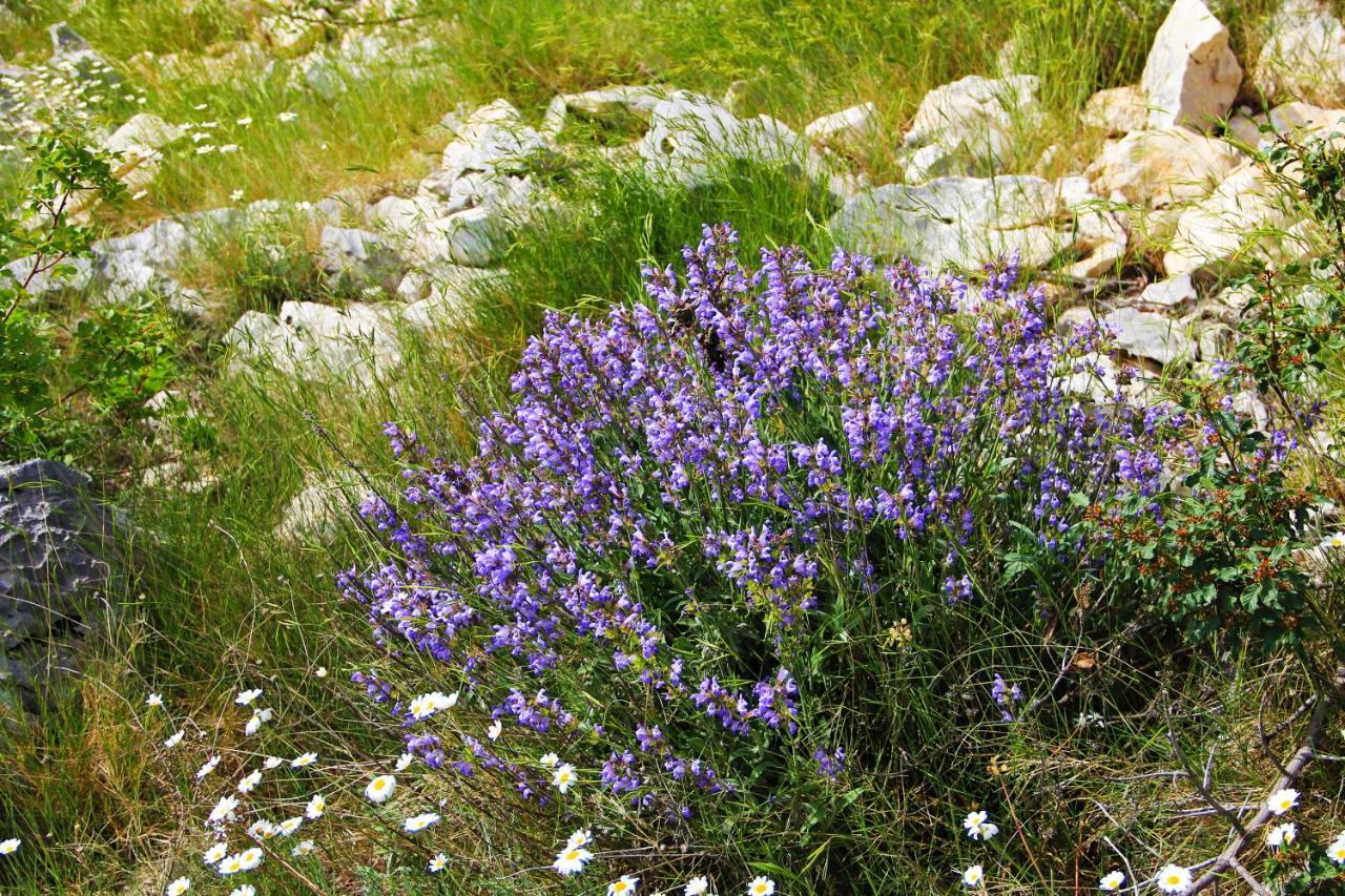 Villa Zlatno Sunce In The Hills Near Trogir Vrsine Kültér fotó