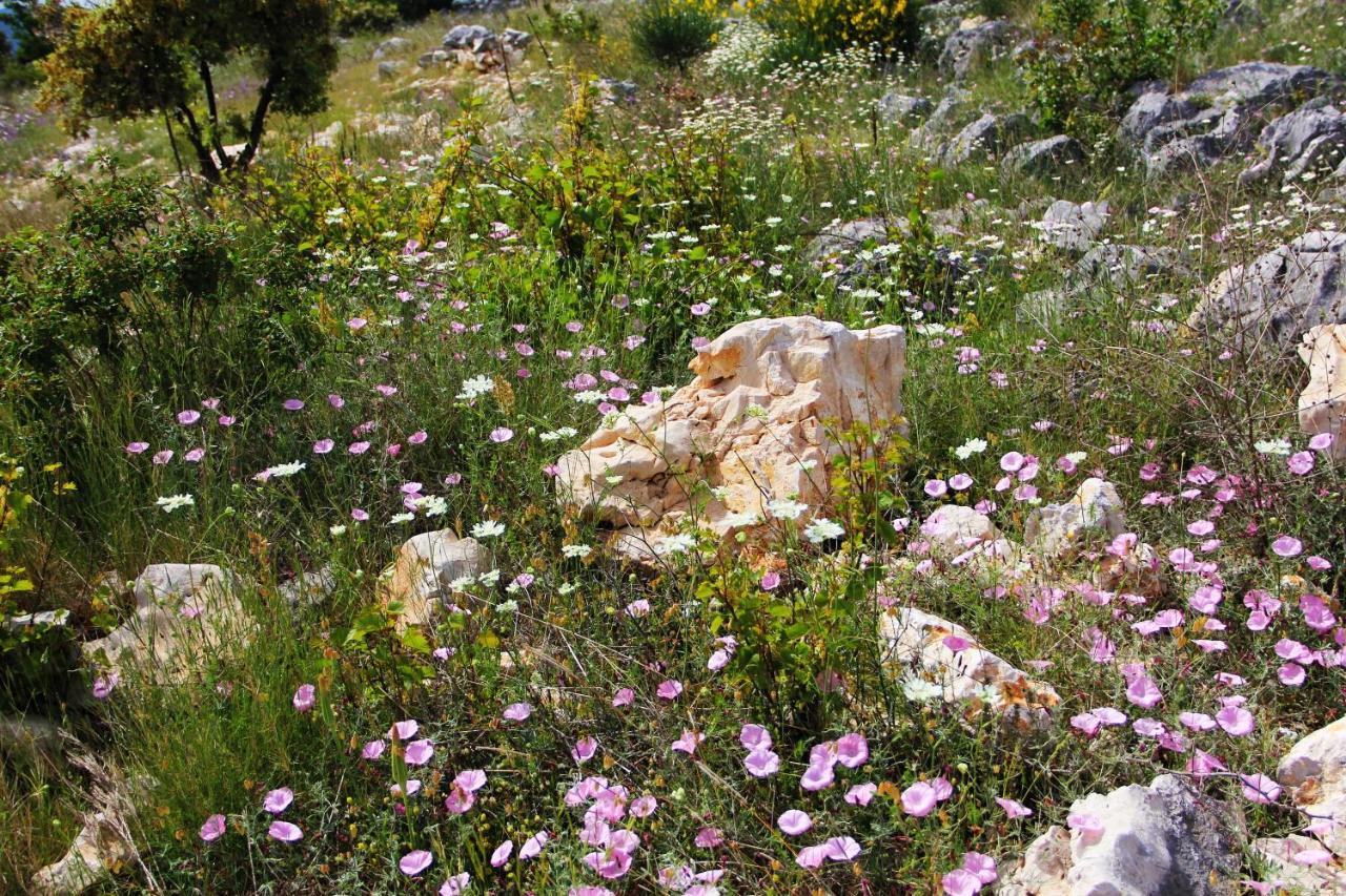 Villa Zlatno Sunce In The Hills Near Trogir Vrsine Kültér fotó